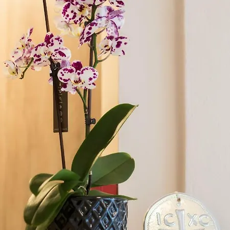 Hotel apartamentowy Porfyris And 4*